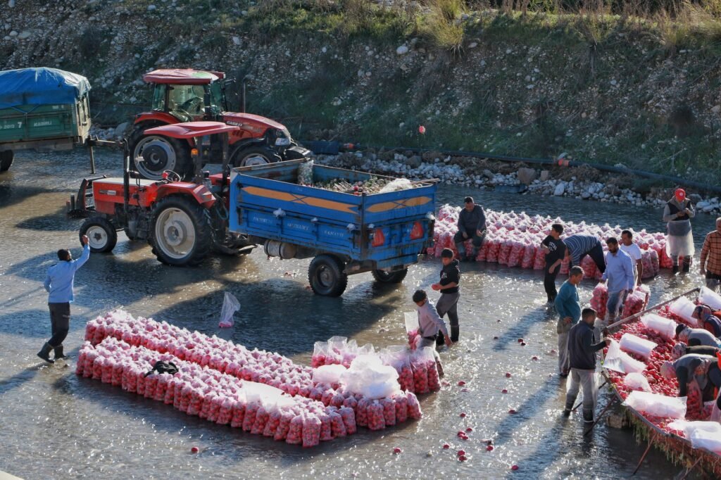 NH-44 disruptions worry fruit growers in Kashmir as harvest season begins