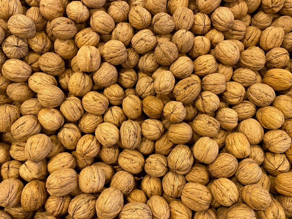 Organic walnut harvest begins in Kathua’s Bani hills