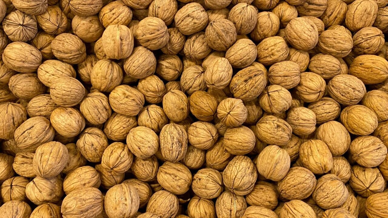 Bani Hills Embrace Organic Walnut Harvest, Boosting Local Livelihoods
