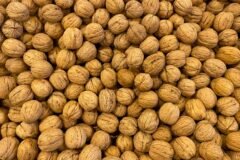 Organic walnut harvest begins in Kathua’s Bani hills