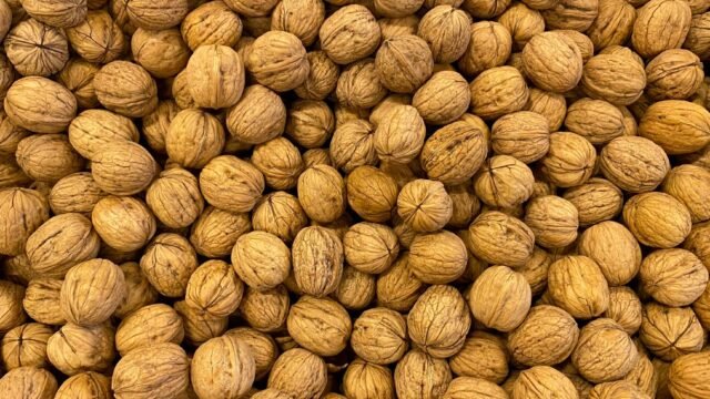 Organic walnut harvest begins in Kathua’s Bani hills