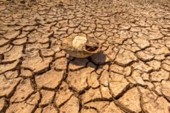 Parts of Eastern and Central Europe Broke Heat Records This Week