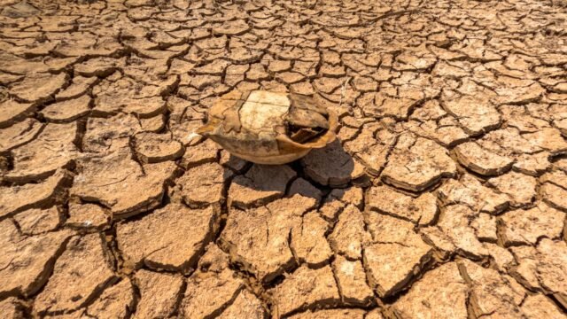 Parts of Eastern and Central Europe Broke Heat Records This Week
