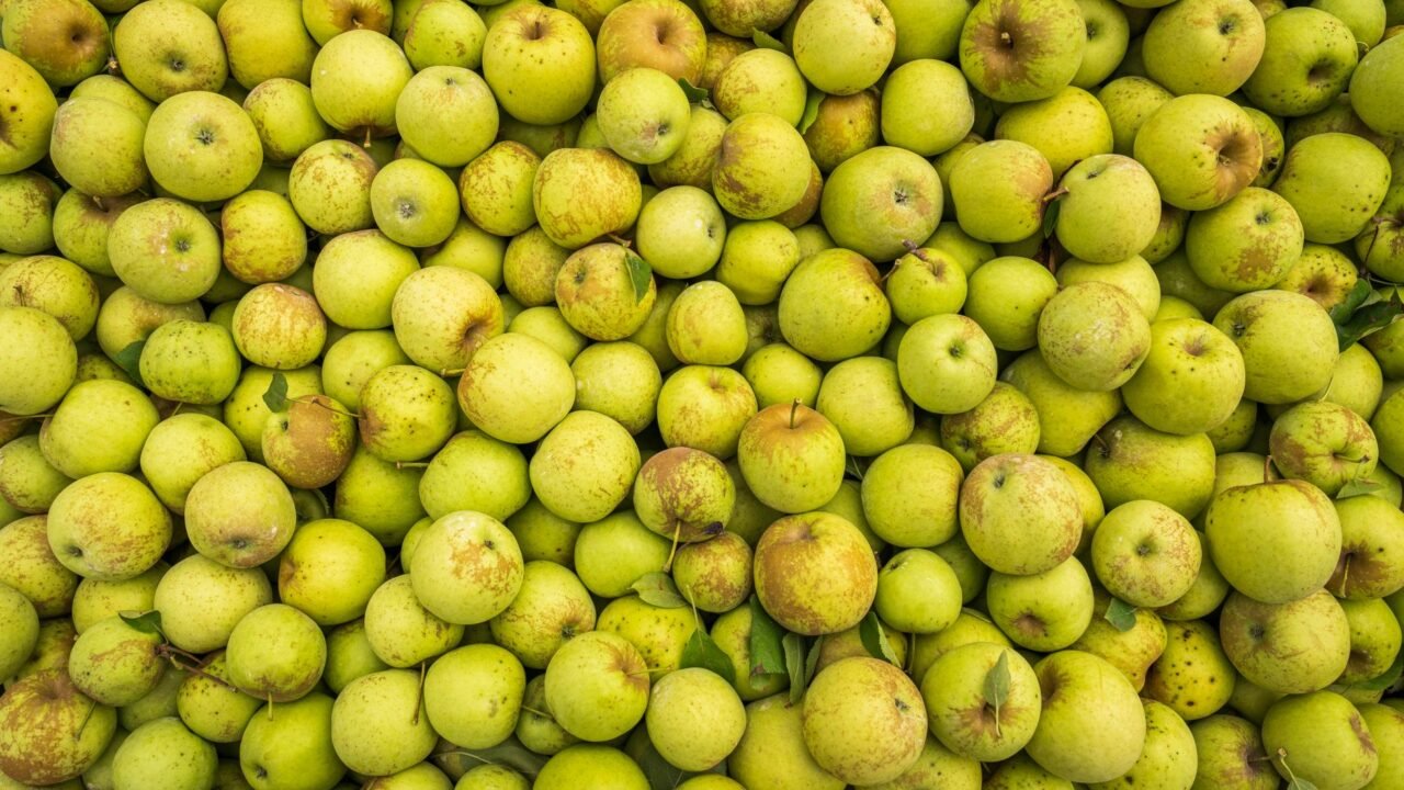 PDP Workers Detained in Shopian Amidst Crop Insurance Scheme Protest