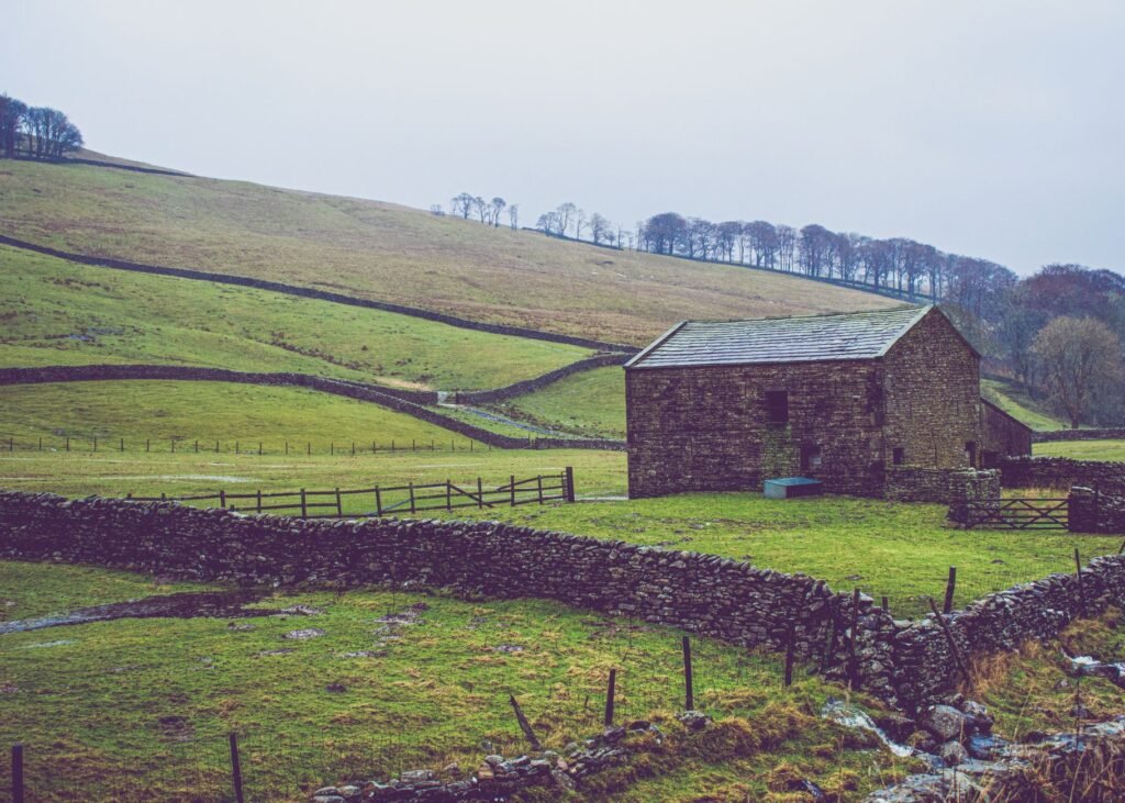 Photos Show England Turning Brown in Drought