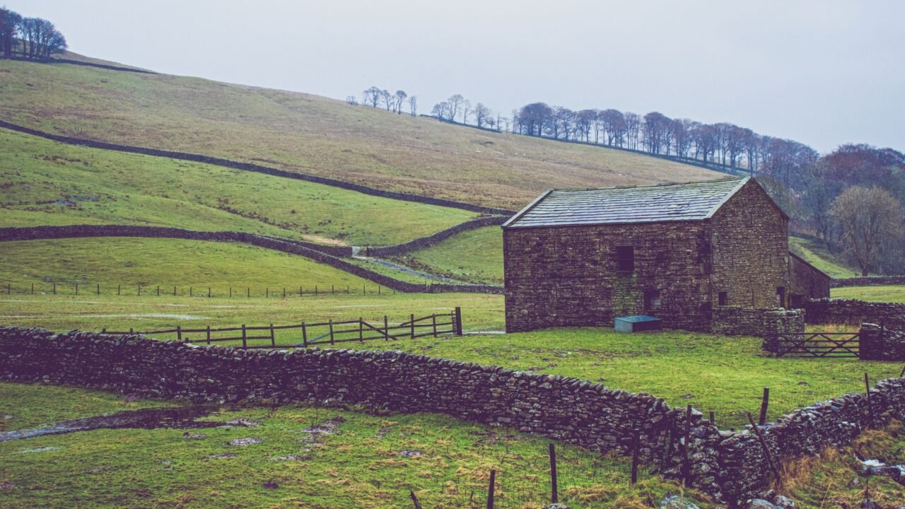 England’s Iconic Green Landscape Succumbs to Severe Drought
