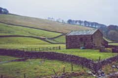 Photos Show England Turning Brown in Drought