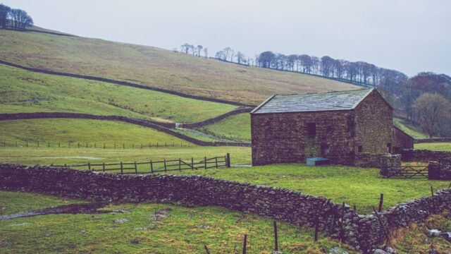 Photos Show England Turning Brown in Drought
