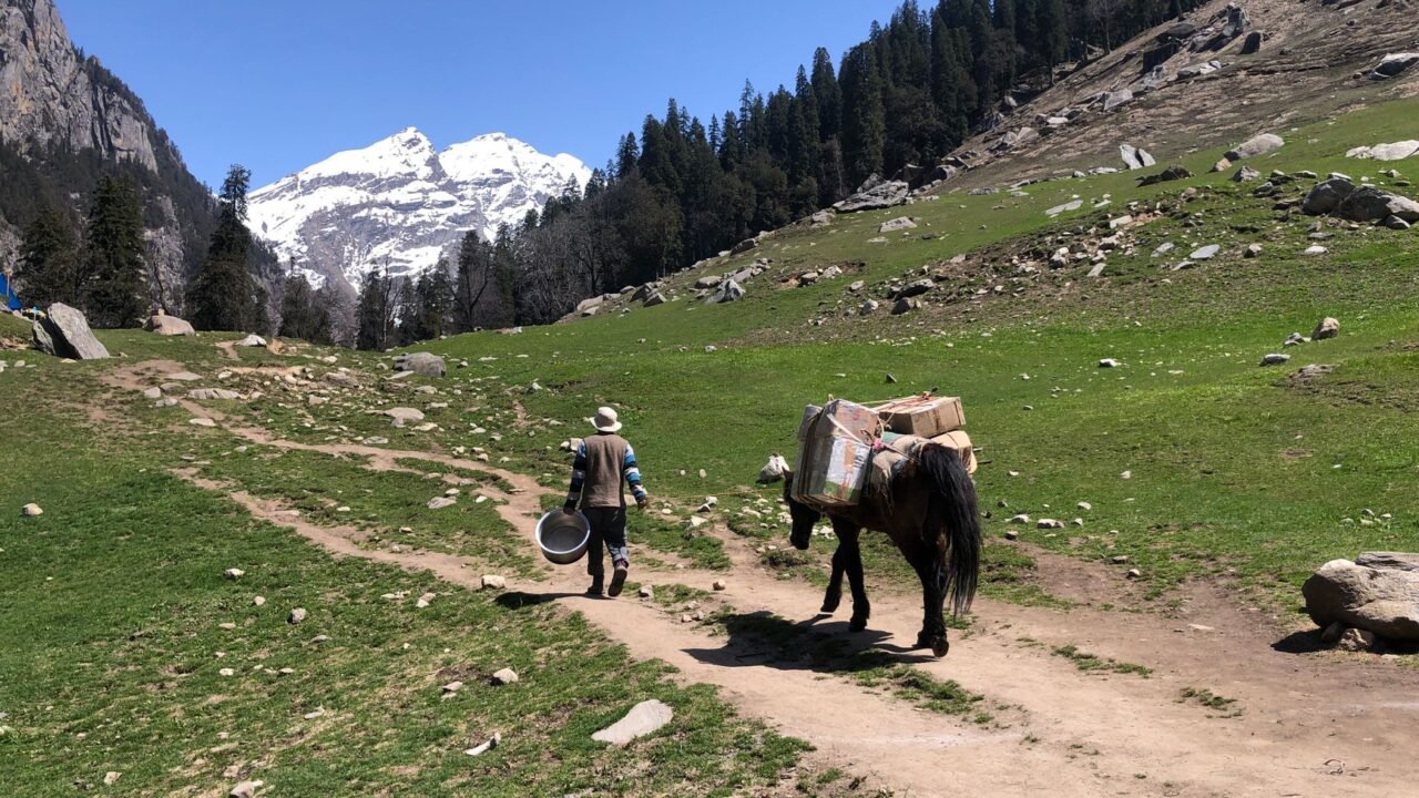 Census Self-Enumeration Kicks Off in India’s Challenging Hill Regions