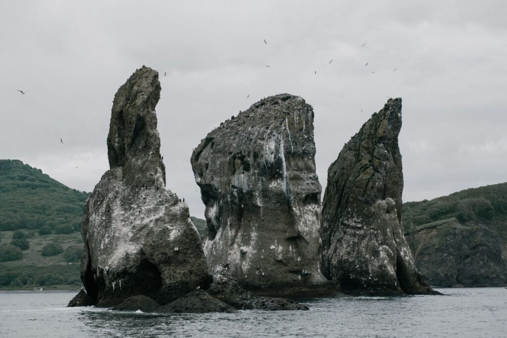 Putin Visits Islands Seized from Japan in World War II, Angering Tokyo