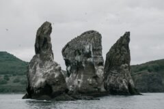 Putin Visits Islands Seized from Japan in World War II, Angering Tokyo