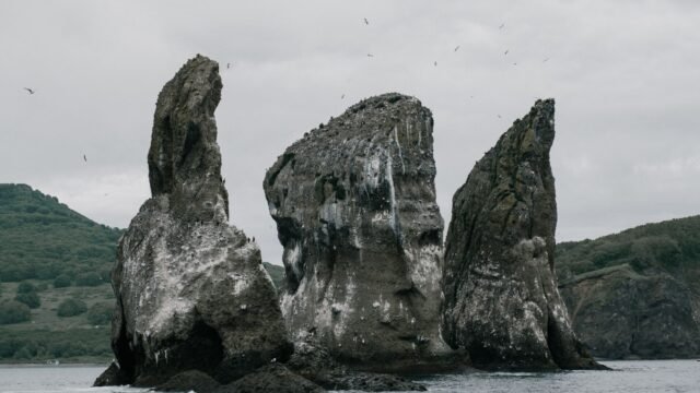 Putin Visits Islands Seized from Japan in World War II, Angering Tokyo