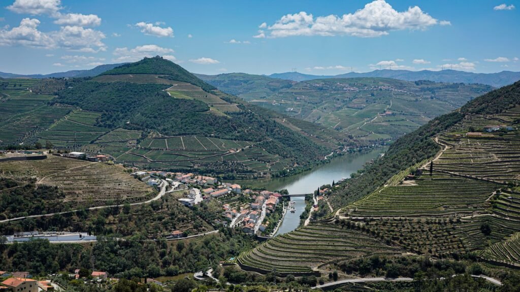 Silence, Wolves and the Wild East: Hiking in Portugal’s Côa Valley