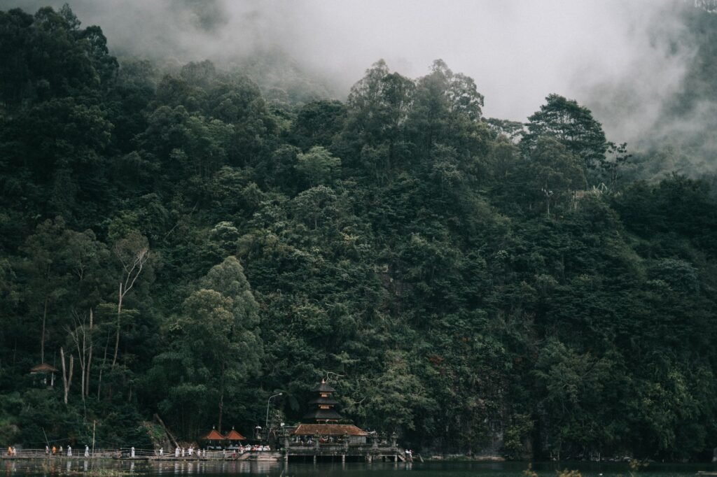 Swiss Tourist Sentenced to Prison After Violating ‘Day of Silence’ in Bali