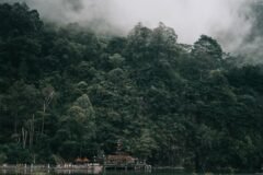 Swiss Tourist Sentenced to Prison After Violating ‘Day of Silence’ in Bali