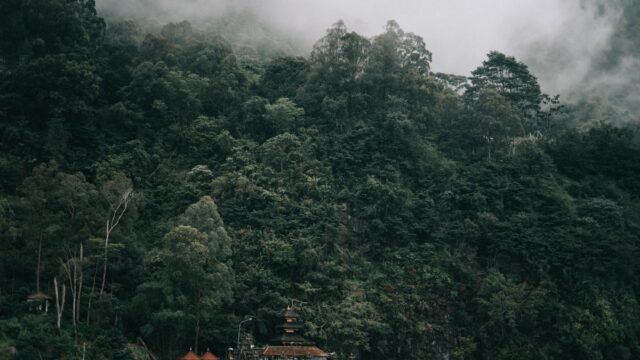 Swiss Tourist Sentenced to Prison After Violating ‘Day of Silence’ in Bali