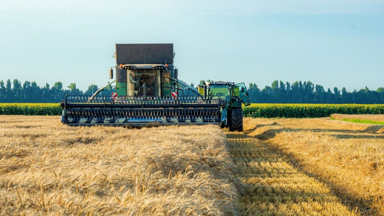 Global Food Supply Chains Under Strain from Conflict and Climate