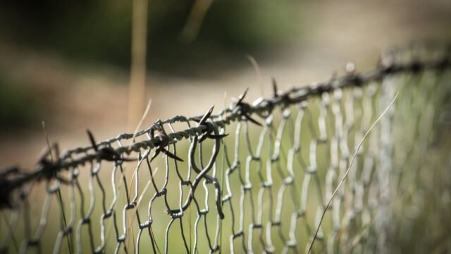 Unraveling the Chaos in Ceuta