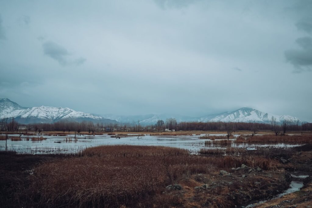 US to re-evaluate travel advisories for Jammu and Kashmir, says envoy Sergio Gor
