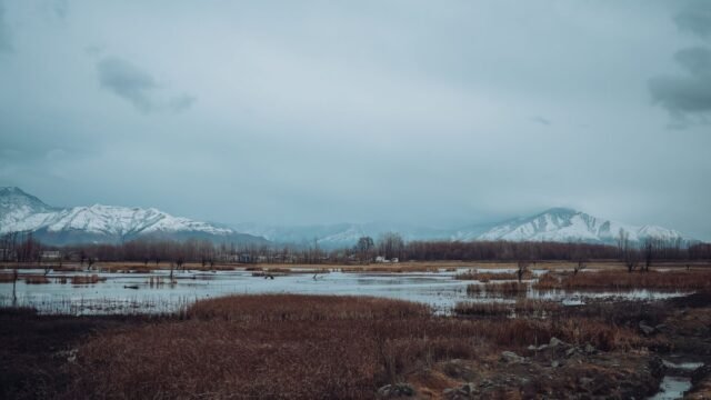 US to re-evaluate travel advisories for Jammu and Kashmir, says envoy Sergio Gor