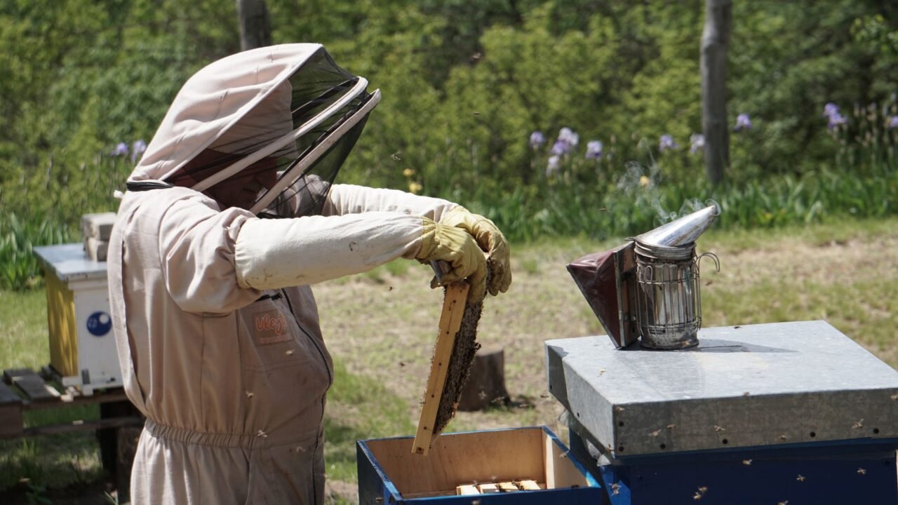 Canadian Honey Producers Face Dual Threat from Weather and Tariffs