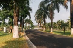 A Central African Hotel Has Become a Nightmare Prison for U.S. Deportations