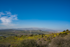 A Glitz-Free Place Named for Trump? Welcome to the Golan Heights.