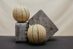 Behold the Most Handsome Melons in Mexico