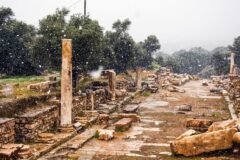 Can Ancient Ruins Be Protected From Wildfires? Greece Is Trying.