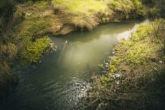 Five killed, 6 hurt as vehicle falls into river in Kupwara