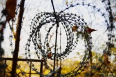 Gunshots heard in Poonch forests amid ongoing search operation