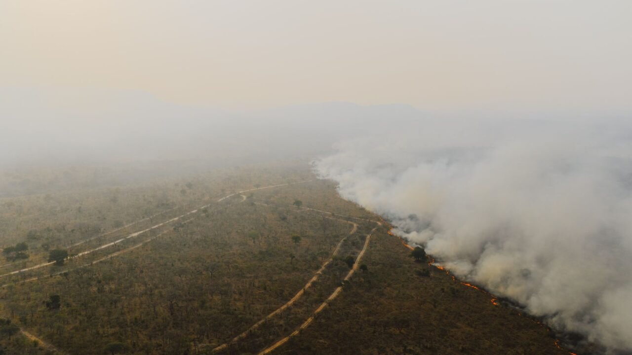 Indonesia Wildfires Trigger Regional Health Concerns as Haze Spreads