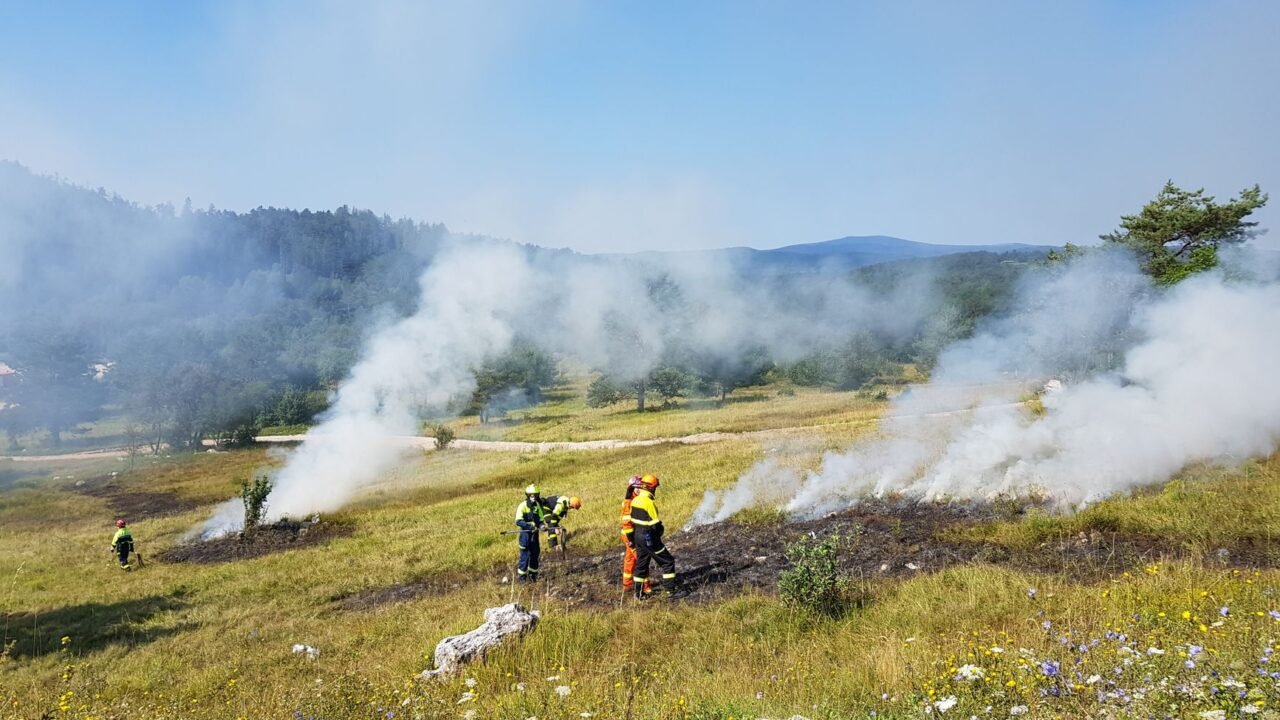 EU Forges United Front Against Europe’s Escalating Wildfire Crisis