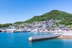 Putin Reignited a Dispute With Japan. This Town Is Stuck in the Middle.
