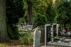 Thousand of Serbs Gather to Mourn Ratko Mladic, the ‘Butcher of Bosnia’