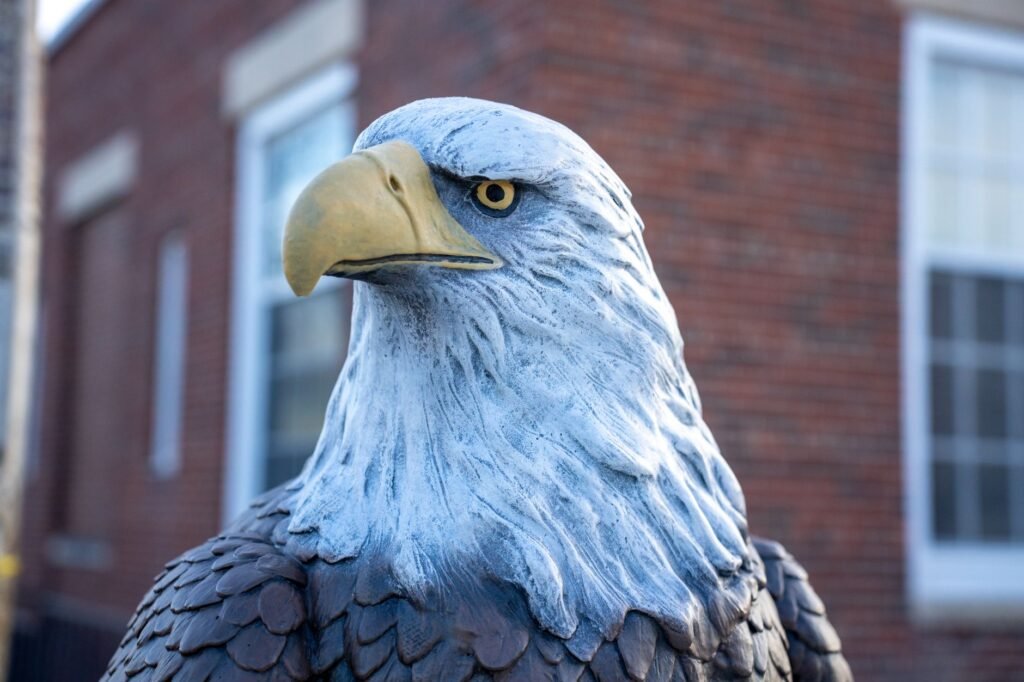 Trump Gave Xi His Go-To Gift: A Bald Eagle Statue