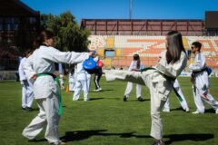 Virtual Taekwondo Takes the Contact Out of a Combat Sport