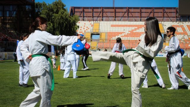 Virtual Taekwondo Takes the Contact Out of a Combat Sport