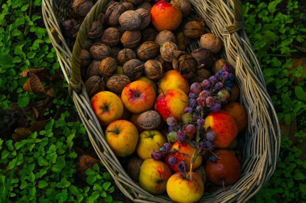 Walnut cultivation emerges as growth driver in Rajouri Hills
