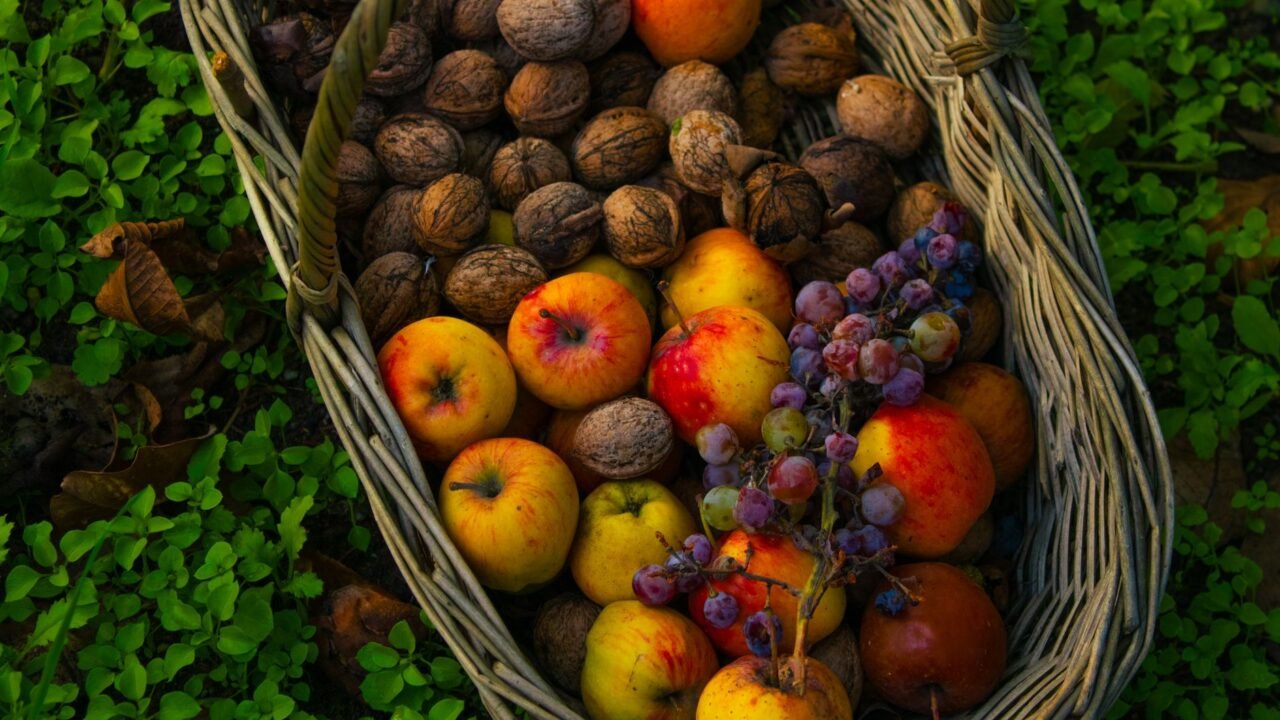 Rajouri Hills Embrace Walnuts: A Bumper Harvest Fuels Rural Economy
