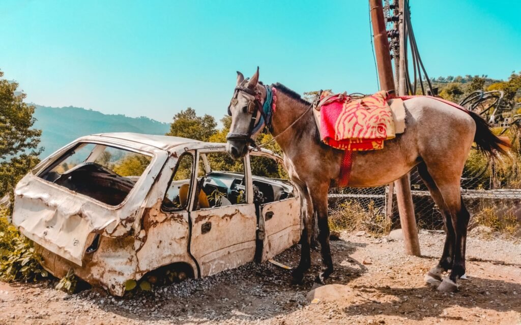 140 spiked bits used on horses for tourist rides in Katra, Shiv Khori seized