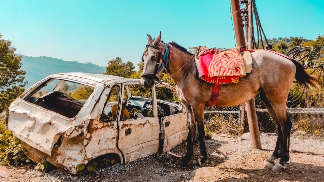 Animal Welfare Crackdown: Spiked Horse Bits Seized in Katra and Shiv Khori
