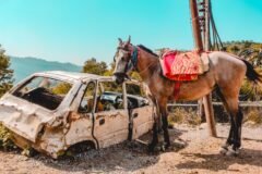 140 spiked bits used on horses for tourist rides in Katra, Shiv Khori seized