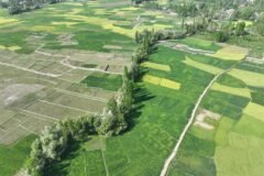 2,135 in-use minor irrigation schemes underutilised in J&K: Ministry report