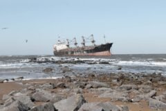 An ‘Endless’ Cruise Around the World Is Suspended, Leaving Passengers Stranded