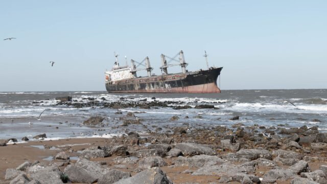 An ‘Endless’ Cruise Around the World Is Suspended, Leaving Passengers Stranded