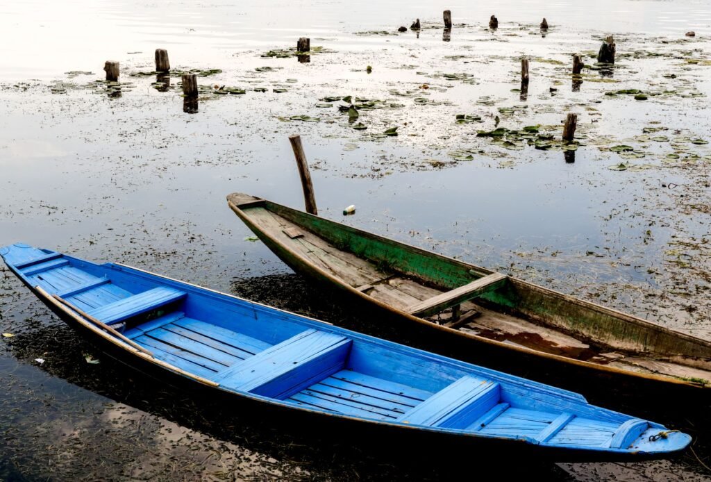 Ban on fuel-powered boats leaves Dal Lake operators in limbo