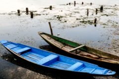 Ban on fuel-powered boats leaves Dal Lake operators in limbo
