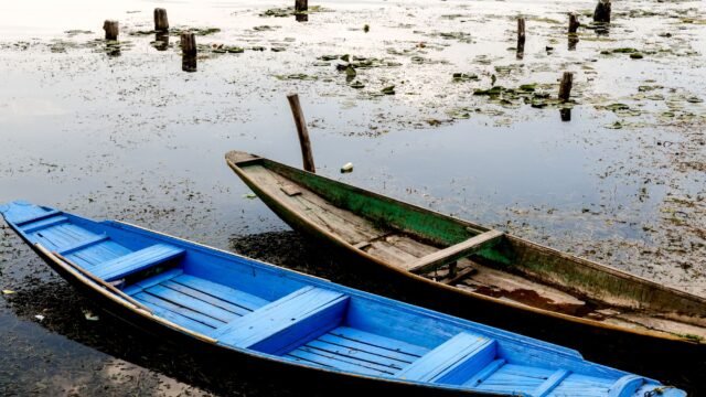 Ban on fuel-powered boats leaves Dal Lake operators in limbo