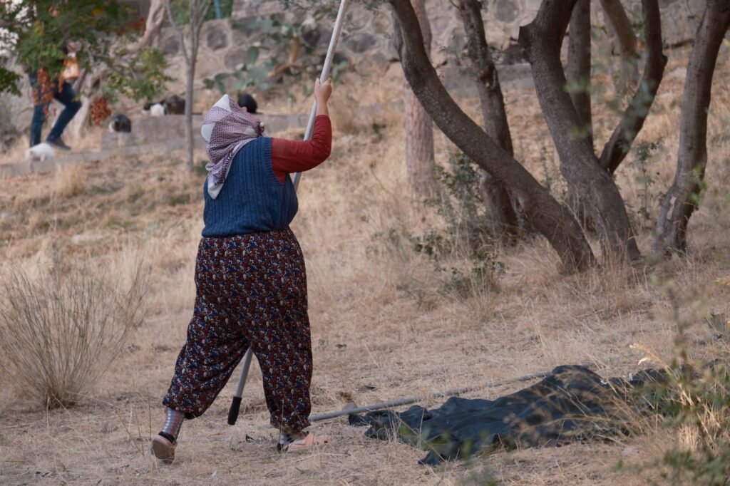Israeli Settlers Attack Palestinians and European Officials in West Bank